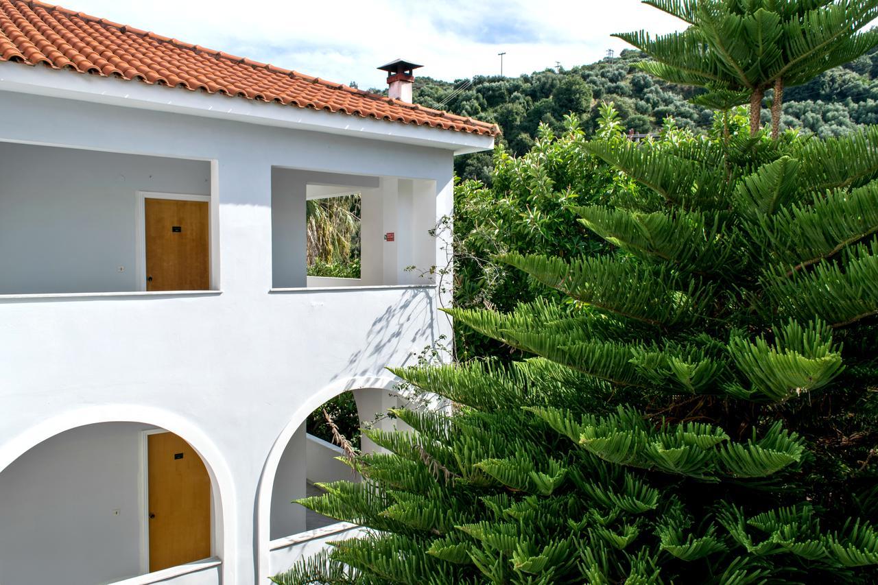 Paradise 3* Argassi